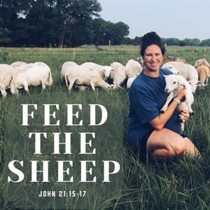 Feed The Sheep