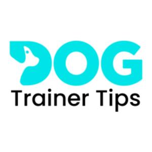 Dog Training