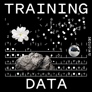 Training Data by Sequoia Capital