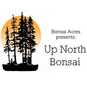 Up North Bonsai by David Weiss