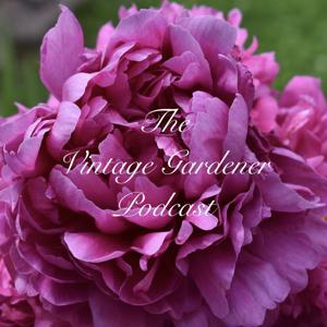The Vintage Gardener