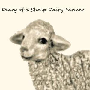 Diary of a Sheep Dairy Farmer by Becca Matthews