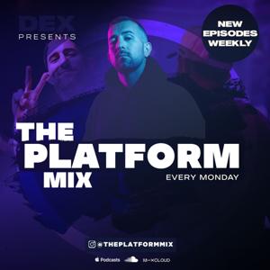 The Platform Mix