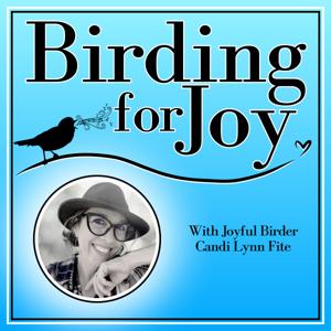 Birding for Joy by Candi Lynn Fite