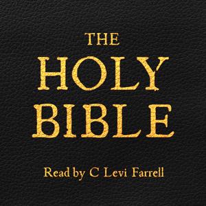 Daily Scripture: Chronological Bible Readings (KJV)