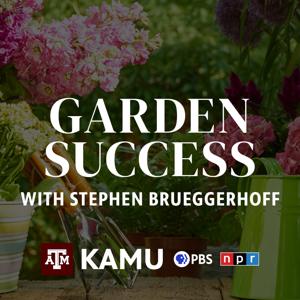 Garden Success with Stephen Brueggerhoff