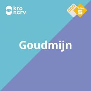 Goudmijn