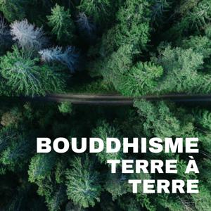 Bouddhisme terre à terre by Élèves du Dhamma