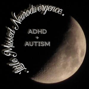 Little Missed Neurodivergence: ADHD + Autism