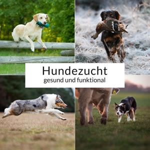 Hundezucht - gesund und funktional!