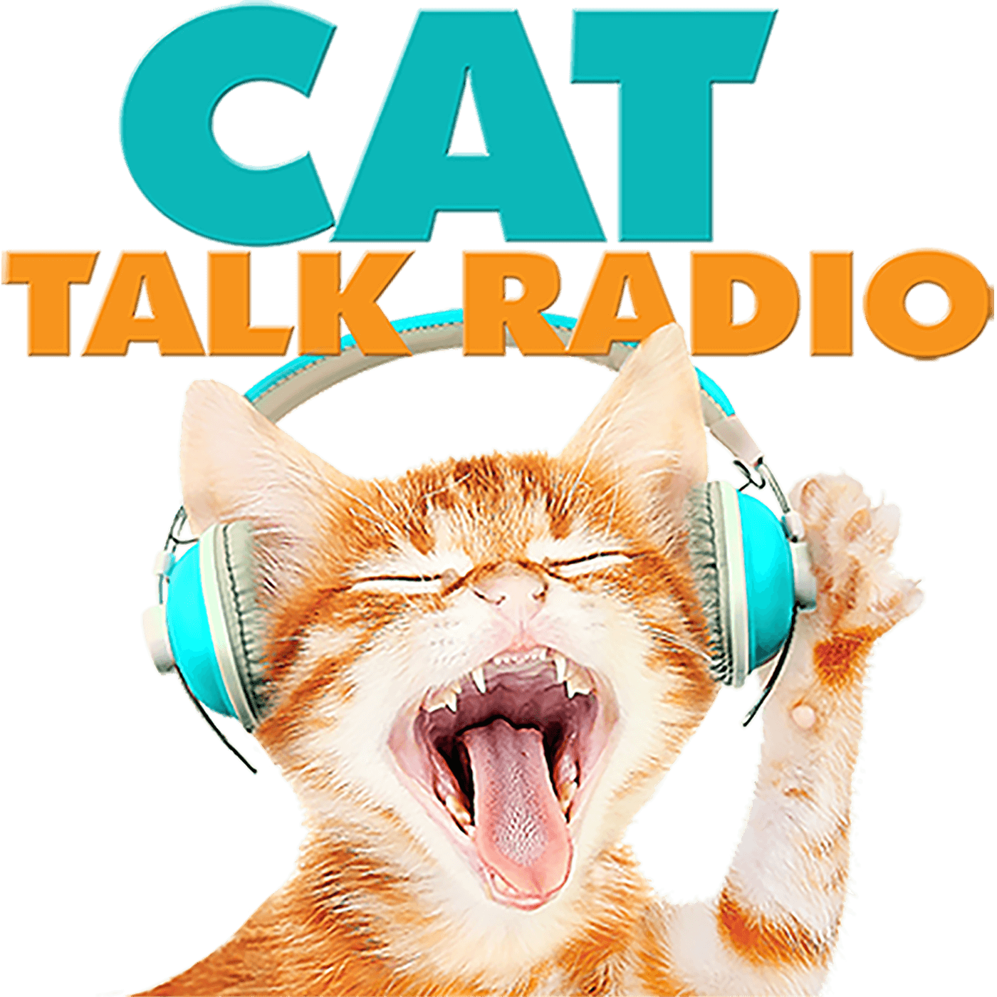 Podcast graphic showcasing the alluring secrets of the swinging world