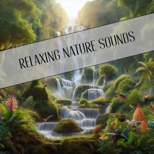 Relaxing Nature Sounds