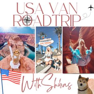 USA VAN ROADTRIP WITH SHIBAS