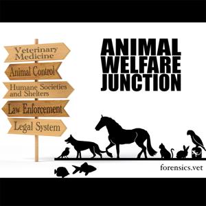 The Animal Welfare Junction by A. Michelle Gonzalez, DVM, MS