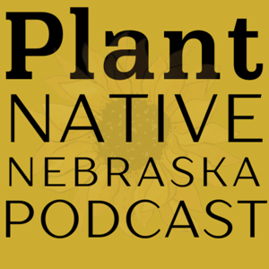 PLANT NATIVE NEBRASKA by Stephanie Barelman