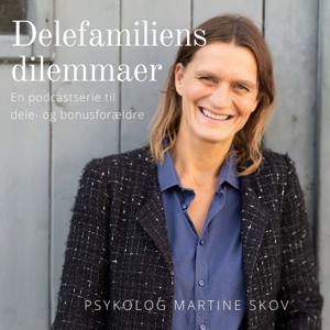 Delefamiliens dilemmaer by Martine Skov