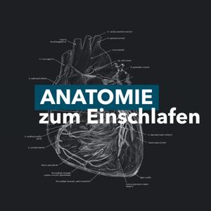 Anatomie zum Einschlafen by Tjarven