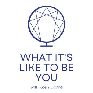 What It's Like To Be You by Josh Lavine