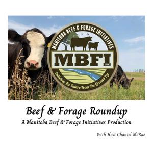 Beef and Forage Roundup