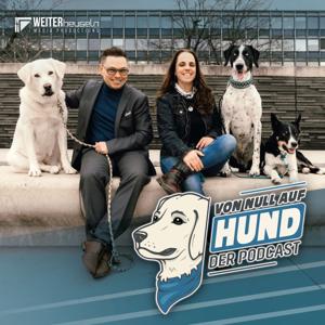 VON NULL AUF HUND