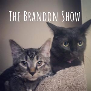 The Brandon Show