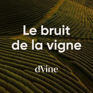 Le Bruit de la Vigne