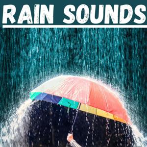 Rain Sounds For Relaxation by Sol Good Network