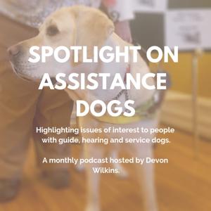 Spotlight on Assistance Dogs