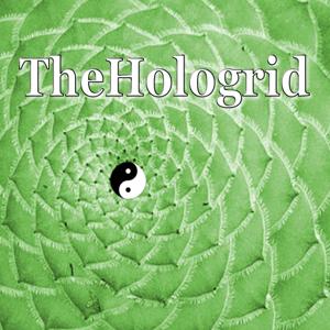 The Hologrid