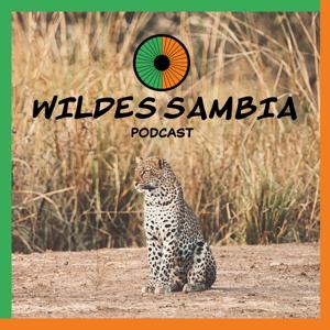 Wildes Sambia