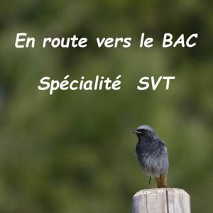 En route vers le bac- la SPE SVT