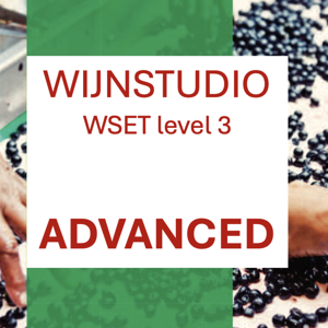 Wijn Advanced – WSET level 3 by Jeroen Bronkhorst