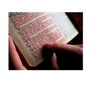 Words in Red