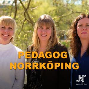 Pedagog Norrköping