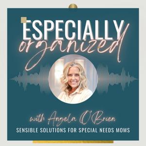 Especially Organized: Sensible Solutions for Special Needs Moms