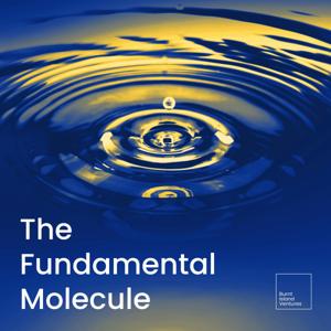 The Fundamental Molecule by The Fundamental Molecule with Tom Ferguson, Burnt Island Ventures