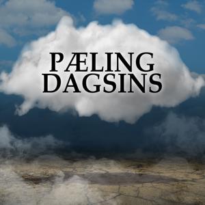 Pæling dagsins