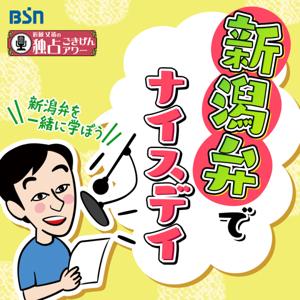 新潟弁でナイスデイ by BSN新潟放送