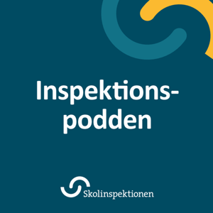 Inspektionspodden