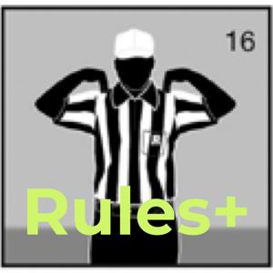 Rules+: Referees Earning Our Stripes by Michael Barrett