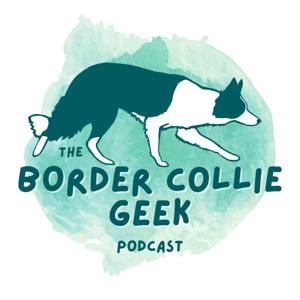 The Border Collie Geek Podcast by The Border Collie Geek Podcast