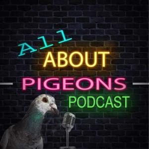 All About Pigeons