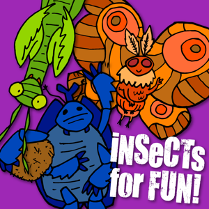 Insects for Fun!