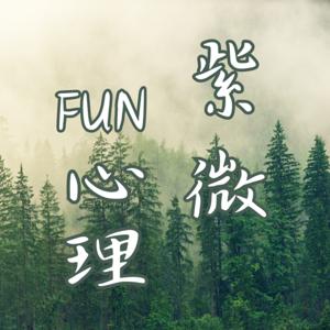 紫微FUN心理