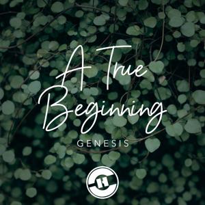 A True Beginning: The Book Of Genesis by Calvary Hanford