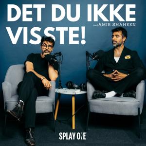 DET DU IKKE VISSTE! by Amir Shaheen & Splay One