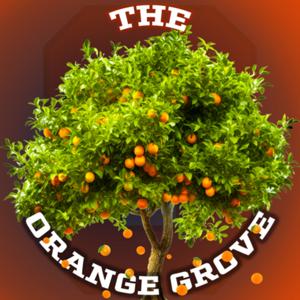 The Orange Grove by The Orange Grove