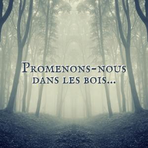 Promenons-nous dans les bois