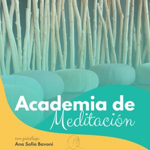 Academia de Meditación Mindfulness