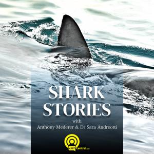 Shark Stories